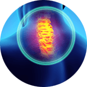 cervical spine circle