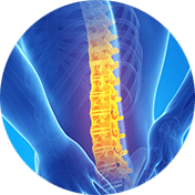 lumbar spine circle