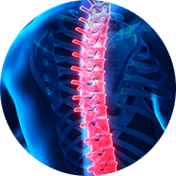 spinal trauma circle